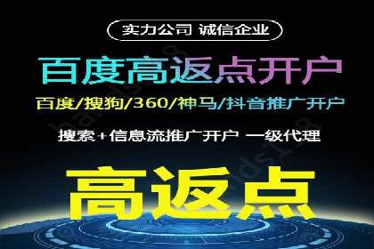 百度竞价代理实战技巧：经典案例深度解读